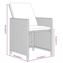 1 Tuinset Met Kussens Poly Rattan