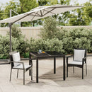 3-Delige Tuinset Met Kussens Poly Rattan