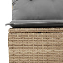 1 Tuinset Met Kussens Poly Rattan