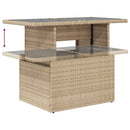 1 Tuinset Met Kussens Poly Rattan