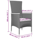 11-Delige Tuinset Met Kussens Poly Rattan Grijs