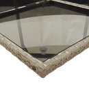 5-Delige Tuinset Met Kussens Poly Rattan