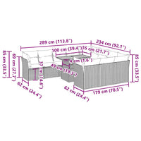 1 Tuinset Met Kussens Poly Rattan