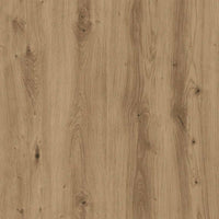 Wandgemonteerde Kasten 2 Pcs Artisan Eik En Zwart