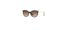 Michael Kors Zonnebrillen Michael Kors Mod. Dupont Mk 2184U