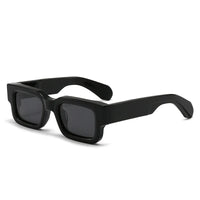 2025 New Edition Polarized Sunglasses Cross-Border 2401 Retro Trending Unisex Fashion Polarized Eyewear